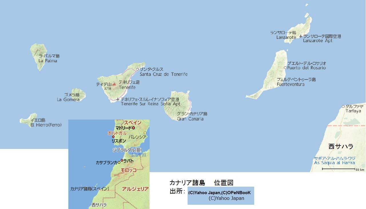 スペイン最高峰テイデ山 山旅の思い出108 深田クラブ